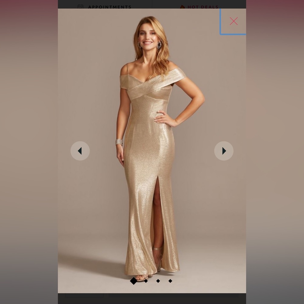 David’s Bridal Mother of Bride dress
